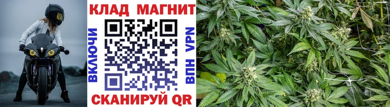 Названия наркотиков Когалым Галлюциногенные грибы mega зеркало Alpha-PVP COCAIN