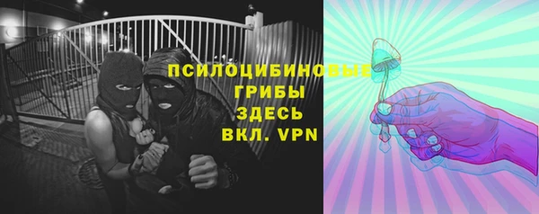 гидра Алексеевка