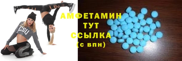 винт Алзамай