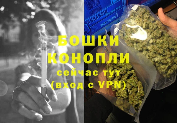 гидра Алексеевка
