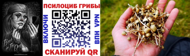 Псилоцибиновые грибы Psilocybe  гидра зеркало  Когалым  где купить наркоту 
