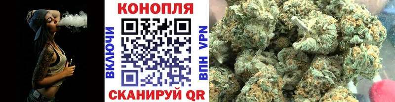 Конопля гибрид Когалым